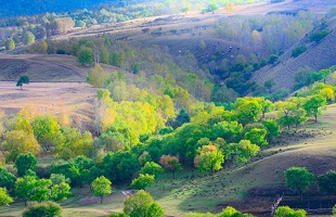 新首钢地区将投7亿元建8大生态项目