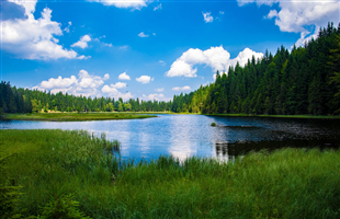 大兴安岭重点国有林区 停伐政策全面落实