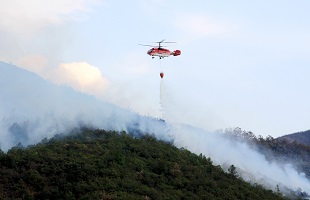 森林草原火灾增幅163% 四川省、凉山州人民政府被约谈