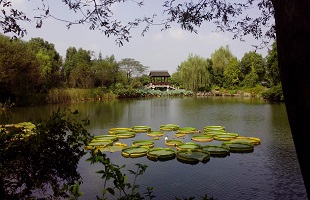 畅游湿地深呼吸