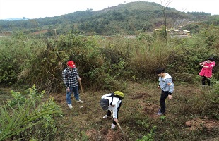 全国政协机关开展义务植树活动