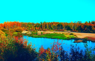 又见“愚公”：十年搬走荒山裸岭