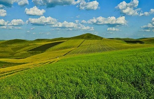 一个森林管护员的坚守