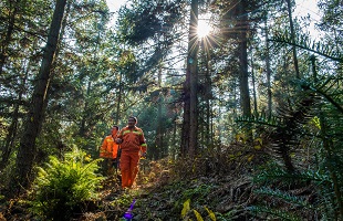 自然保护区救助站滇金丝猴巡护员余文武—— 守护好这片山林