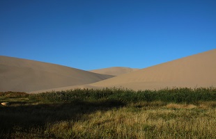 广东122万亩石漠化地区得到有效治理