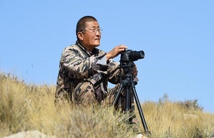 “岩羊爸爸”：在悬崖峭壁间守护山中精灵