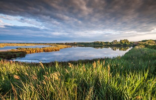 黑龙江：湿地与城市和谐共生