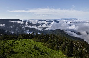 “两山银行”：“存入”绿水青山，“取出”金山银山