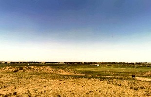 宁夏篇“两山论”提出15周年特别报道“毛乌素变绿记”