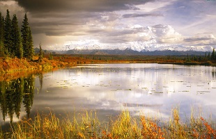 陕西篇“两山论”提出15周年特别报道“毛乌素变绿记”