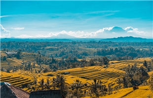 湖南退耕还林还湿试点显现积极变化