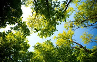 11部门携手推进生态环境损害赔偿制度改革