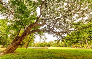甘肃生态环境损害赔偿制度体系基本建立