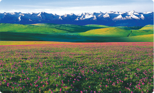 喀拉峻国际生态旅游区