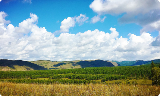塞罕坝国家森林公园