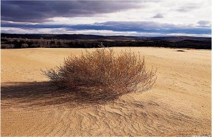 中国治理荒漠化土地