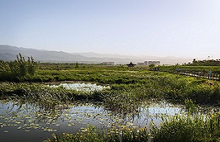 探访滇池生态屏障星海半岛湿地
