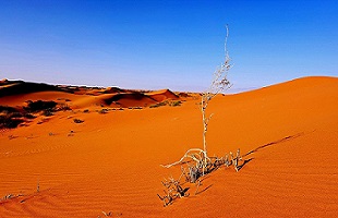 三北局开展精准治沙重点县建设阶段性总结