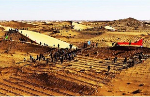 甘肃武威天然草原生态环境明显改善