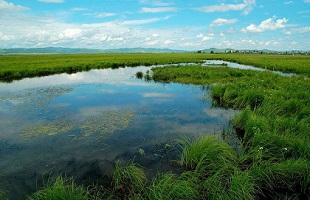 中国最美湿地