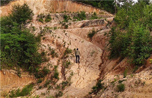 多项环保数据失实 浙江被点名！