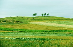 今春沙尘天气较常年同期将明显偏少