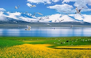 青海为河流湖泊“划界”守护“中华水塔”