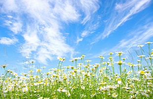 生态智库：加强生物多样性  保护助力碳达峰