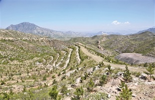 杨冬明:不绿荒山不下山