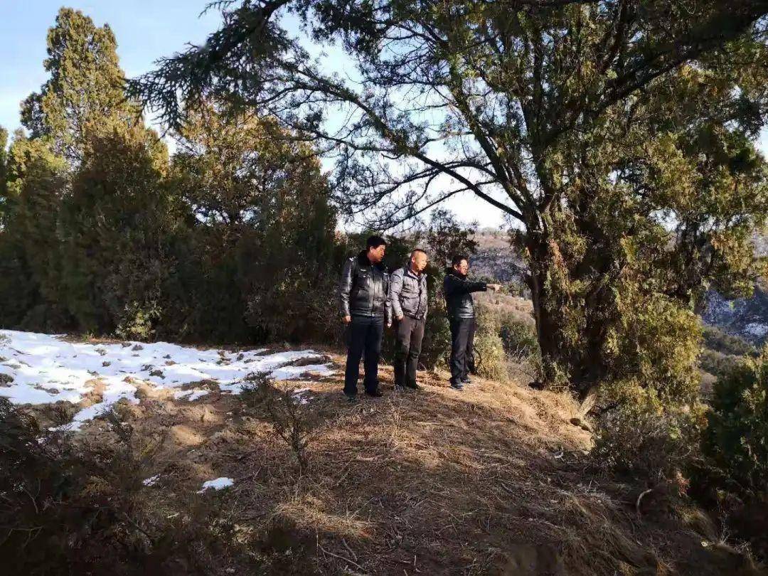 森林公安破获三起毁林刑事案件