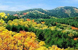 北京延庆打造绿色冬奥画廊