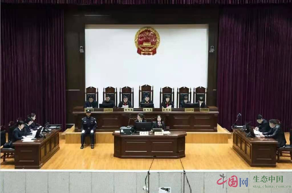 四川广元虎星建材堆倒矿渣毁坏林地被判赔60余万生态修复费