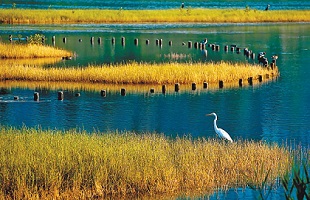 何谓道家推崇的“化境”？