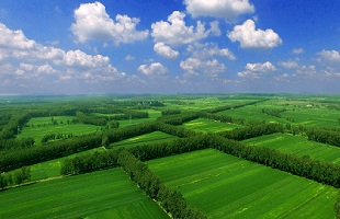 国家林草局解读大陆林业发展为台胞台企提供的机遇