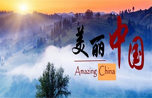 “十三五”期间，我国完成造林5.45亿亩