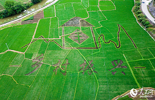 福建开展国有林场专题实践活动