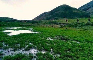 四川雅安：厚植绿美本底 建设绿色发展示范市