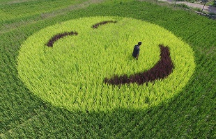 “双碳”目标将对水污染防治产生重要影响