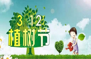 义务植树40年 中国成为全球森林资源增长最多的国家