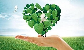 绿染秦东绘锦绣