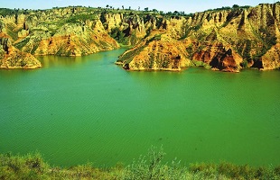 谋实干好“十四五” 奋力谱写新篇章