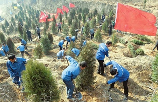 9年来，总书记这样关心义务植树