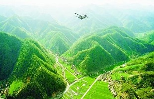 一季度广西完成植树造林185万亩