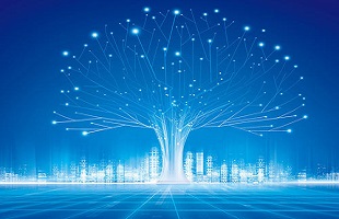 安徽宣城林业“碳达峰、碳中和”工作启动