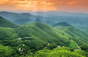 新疆博州出台天然林保护修复制度实施方案