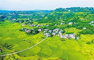 “长白山黑土地”：安图县创新发展绿色食品产业助推乡村振兴