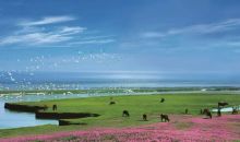 首批中国生态旅游十大示范景区之鄱阳湖国家湿地公园