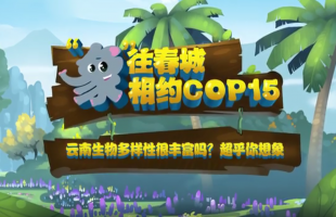 相约COP15：云南生物多样性很丰富吗？超乎你想象