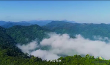 海南热带雨林国家公园：变化与新生
