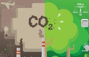 什么是碳中和、碳达峰、碳汇、碳配额、碳交易，CCUS、CCER？